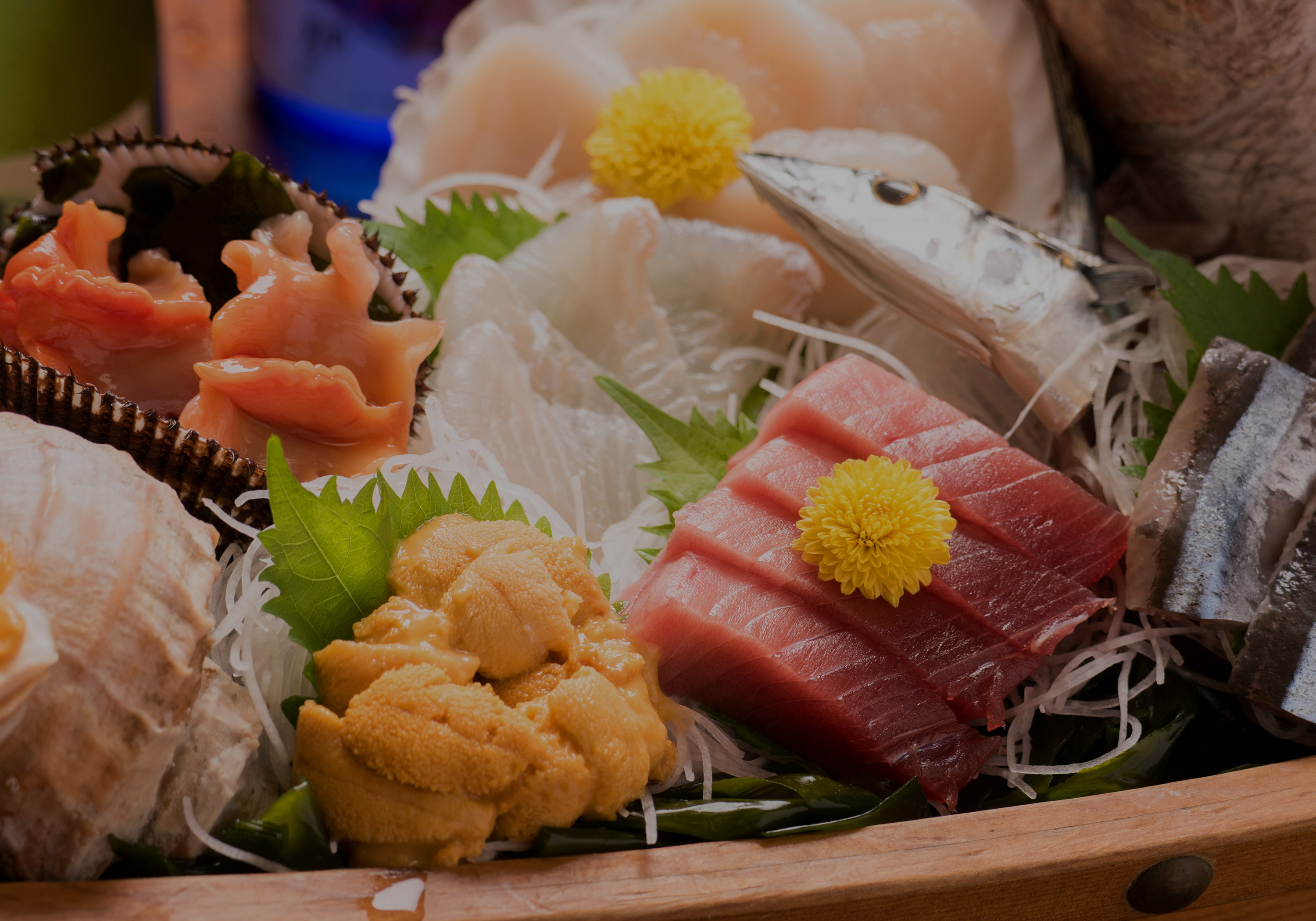 割烹旅館 肴屋本店