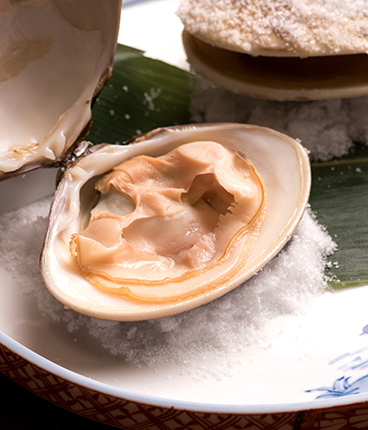 鹿島灘はまぐりイメージ