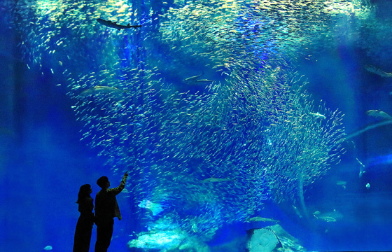 アクアワールド茨城県大洗水族館